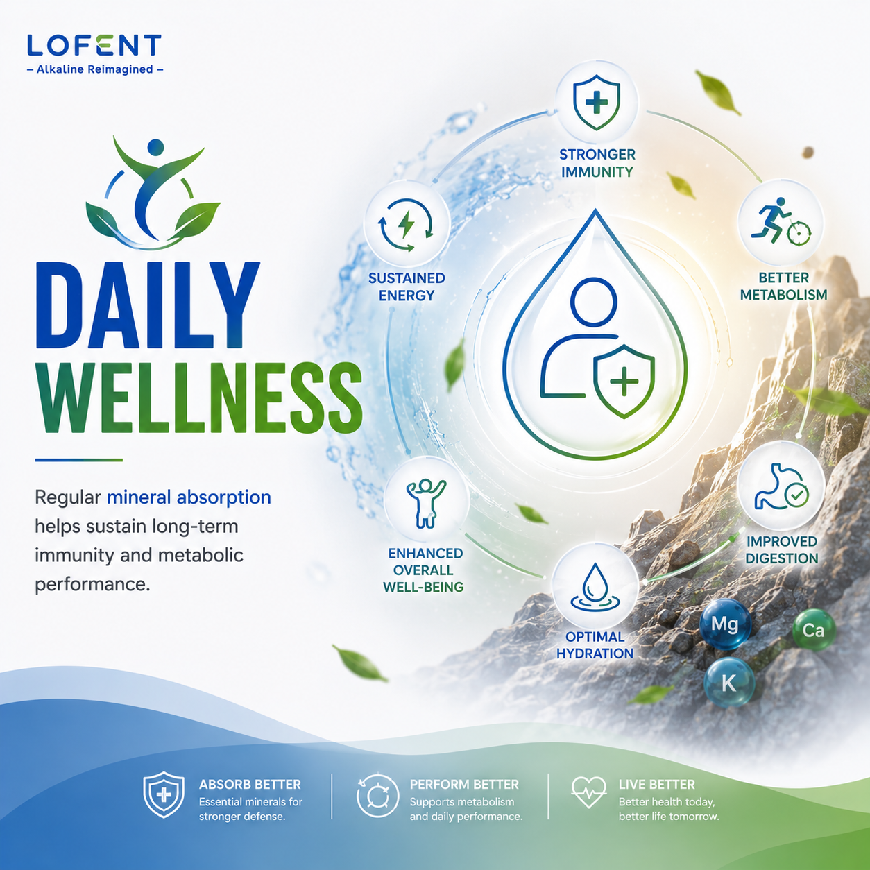 Daily Wellness